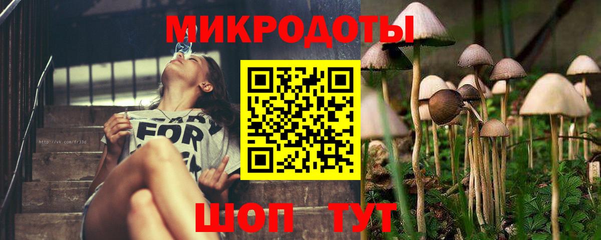 Отрадное  Галлюциногенные грибы прущие грибы  Псилоцибиновые грибы MAGIC MUSHROOMS  Вход с VPN 